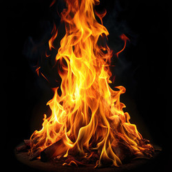 Similar image 22624414