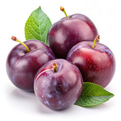 Similar image 22624504