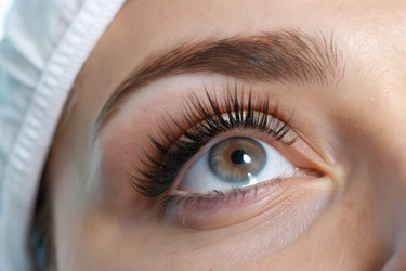 Similar image 22624772