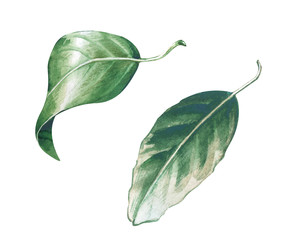 Similar image 22633436