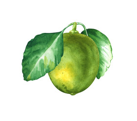 Similar image 22633422