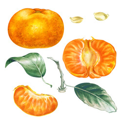 Similar image 22633423