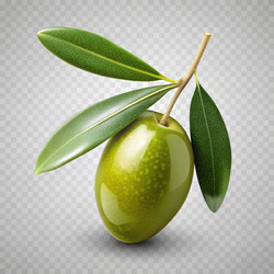 Similar image 22633069