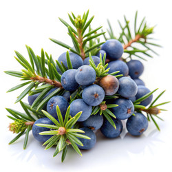 Similar image 22633092