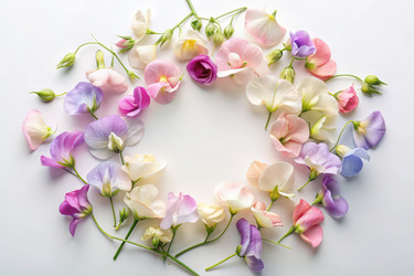 Similar image 22639033