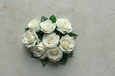 Similar image 22639699