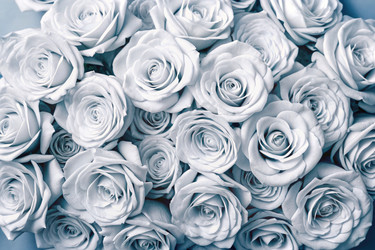 Similar image 22639879