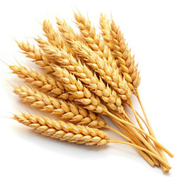 Similar image 22639999