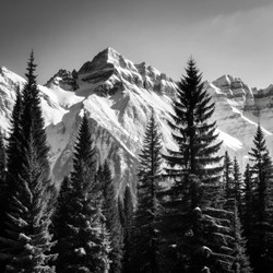 Similar image 22628421