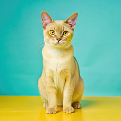 Similar image 22628870