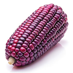 Similar image 22629187