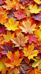 Similar image 22639975