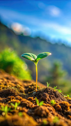 Similar image 22628828