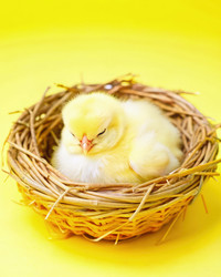 Similar image 22628902