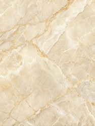 Similar image 22629337