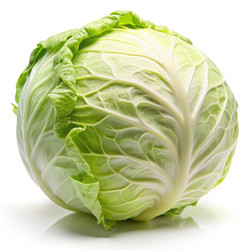 Similar image 22639781