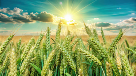 Similar image 22629011