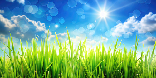 Similar image 22629249