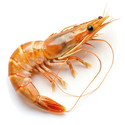 Similar image 22624695