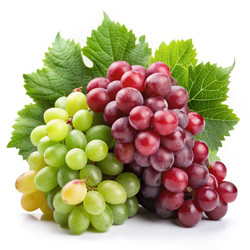 Similar image 22624710