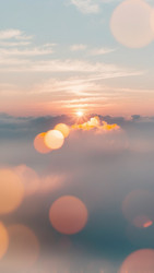 Similar image 22629162