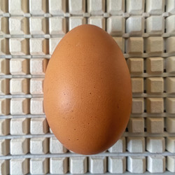 Similar image 22629252