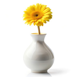 Similar image 22639969