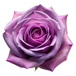 Similar image 22628578