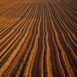 Similar image 22628697