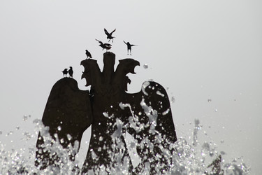 Similar image 22630594