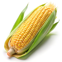 Similar image 22628820