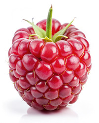 Similar image 22629254