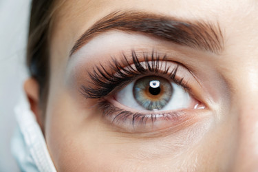 Similar image 22639013