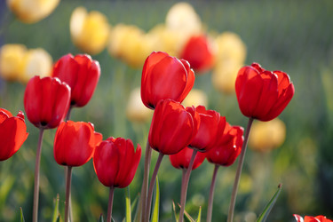 Similar image 22630616