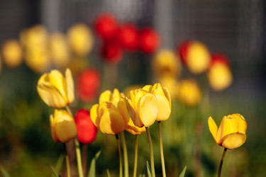 Similar image 22630630