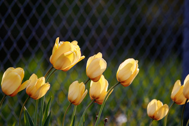 Similar image 22630635