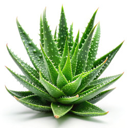 Similar image 22628218