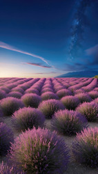 Similar image 22628717