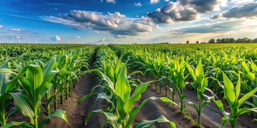 Similar image 22628282