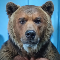 Similar image 22628402