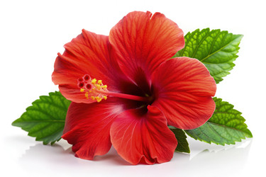 Similar image 22628824