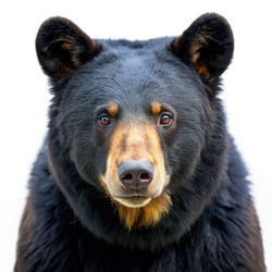 Similar image 22628958