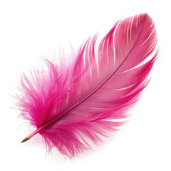 Similar image 22629349