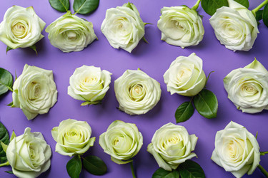 Similar image 22639145