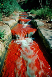 Similar image 22628209