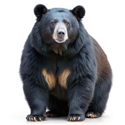 Similar image 22628434