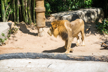 Similar image 22623347