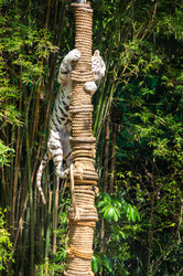 Similar image 22623362