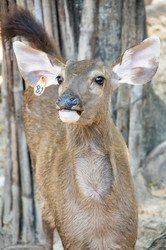 Similar image 22623363