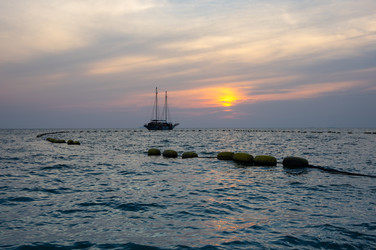 Similar image 22623372